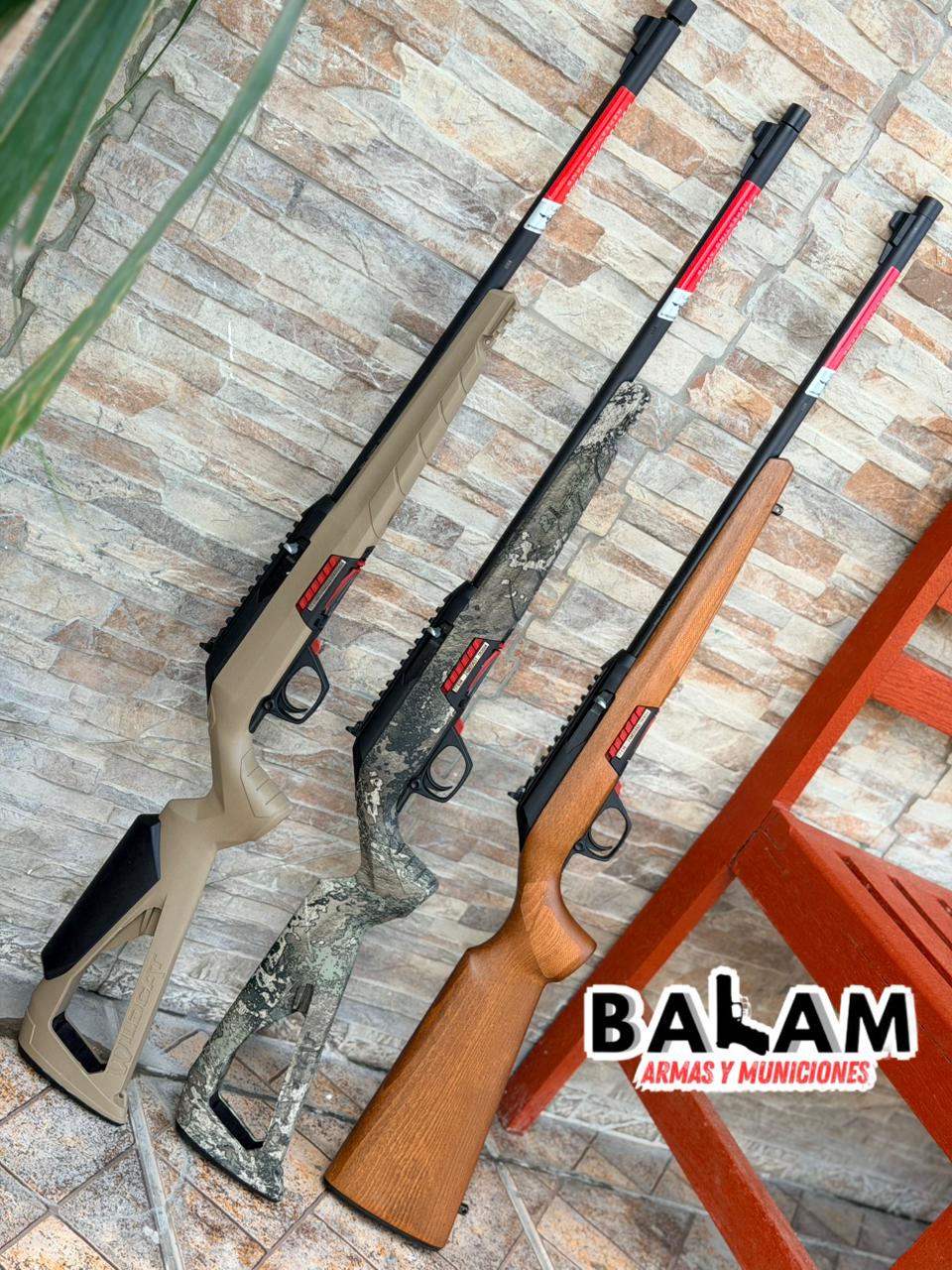 RIFLE WINCHESTER .22LR